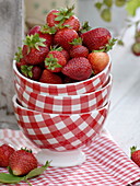 Freshly harvested strawberries and strawberry plants in pots