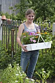 Young woman planting summer flowers in bed (1/4)