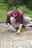 Mann legt Pflaster aus Kieselsteinen (Mittelkorn - Größe) in Riesel-Zement