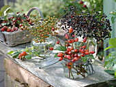 Small bouquets of Rosa canina (Great Rosehips), Rosa multiflora