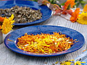 Harvested petals of calendula (marigolds) for drying