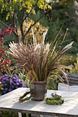 Autumn bouquet of grass flowers