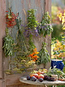 Herbs bundled and hung to dry