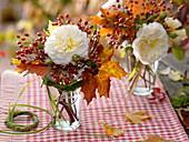 Herbstliche Rosendeko : Rosa (Rose, Hagebutten), Blätter von Acer