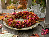 Autumn wreath of leaves of the rock pear