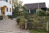 Künstlergarten : gepflasterte Hofeinfahrt führt durch Torbogen aus Carpinus