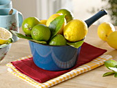 Lemons and limes (Citrus) in a blue enamel pot
