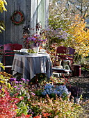 Gedeckter Tisch am Gartenhaus