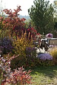 Autumn border with woody plants in autumn colour and perennials