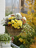 Autumnal planted baskets