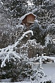 Bird house in the snowy garden between copses