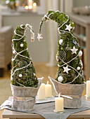 Little trees planted with conifer greenery, decorated with white stars