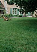 Lawn, wooden deck chairs, house in background