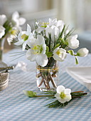 Small bouquet of helleborus niger (Christmas rose) and pinus