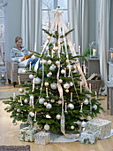 Abies nordmanniana (Nordmann fir) festively decorated