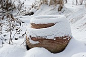 Verschneiter Terrakottatopf im Garten