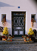 House entrance: Chrysanthemum pyramids, Cucurbita