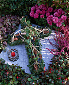Grave decoration: Picea abies (spruce and cones), Hedera (ivy)