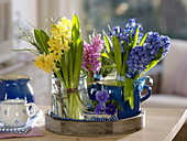 Bouquets of Hyacinthus (hyacinths), branches of Vaccinium