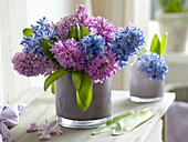 Hyacinthus (hyacinth) in glass pots