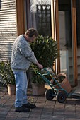 Tub plants with hand truck in/out