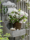Malus (apple) branches in basket vase on wall board