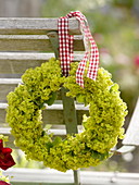Small wreath of Alchemilla (lady's mantle flowers) on the back of a chair
