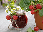 Glas mit Erdbeer - Marmelade, zum verschenken dekoriert