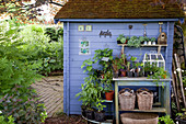 Topftisch und kleine Etagere mit Jungpflanzen am blauen Gartenhaus, Körbe, Werkzeug