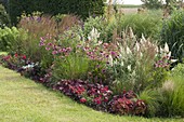 Summer bed with perennials and grasses