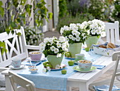 Green and white table decoration with petunias