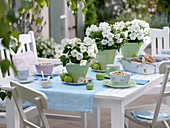 Grün-weiße Tischdeko mit Petunien