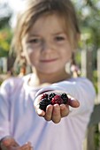 Girl with freshly picked blackberries (Rubus)