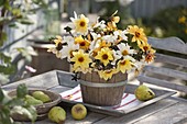 Yellow-white bouquet of Dahlia 'Snow White''Bishop of York '