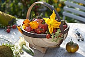 Freshly harvested tomatoes (Lycopersicon), flowering courgettes