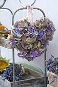 Flower arrangement of hydrangea (hydrangea) hanging from a shelf