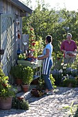 Processing tomatoes in the outdoor kitchen