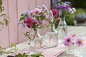 Small bouquets of Aster (autumn asters) and clematis tendrils