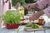 Make your own parsley wine according to Hildegard von Bingen