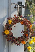 Thanksgiving wreath with wheat (triticum), calendula (marigolds), lavender