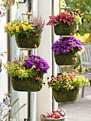 Baskets hung with moss as hanging baskets one above the other