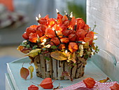 Autumn arrangement with physalis in bowl of betula