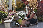 Frau bepflanzt Terracotta-Kübel mit weißem Chrysanthemen-Stämmchen