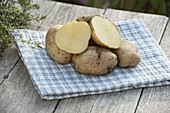 Kartoffel - Sorte 'Ackersegen' (Solanum tuberosum)