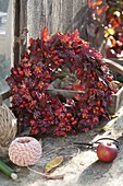 Autumn wreath in different shades of red: Quercus leaves