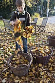 Autumn leaves in garden