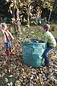 Herbstlaub im Garten