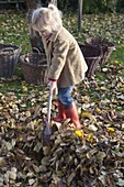 Herbstlaub im Garten