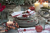 Plates and napkins decorated with rose hips, a candle with ornamental apples