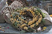 Wreath made of sea buckthorn (Hippophae) on a blank of dry tendrils